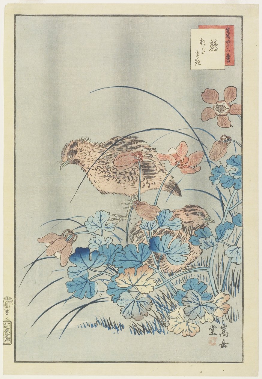 Two Quails in Bush, 1859 (træbloktryk i farver) af Nakayama Sugakudo
