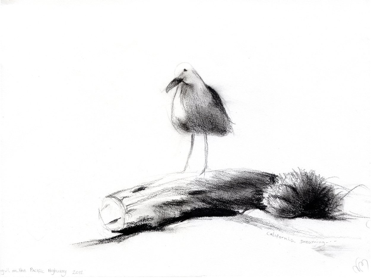 California Seagull, 2012, (kul på papir) af Nancy Moniz Charalambous