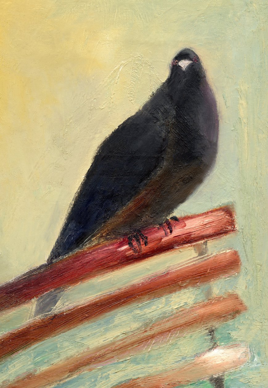 Kingly Court Pigeon, 2013, af Nancy Moniz Charalambous