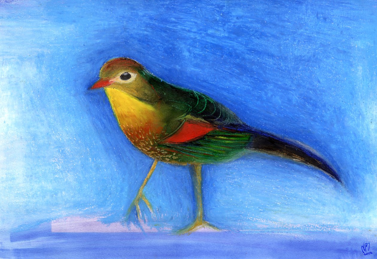 Nightingale Light, 2012, (oliepastel på papir) af Nancy Moniz Charalambous