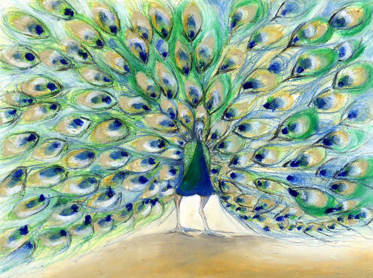 Peacock i San Diego 2, 2013, (olie på kort) af Nancy Moniz Charalambous