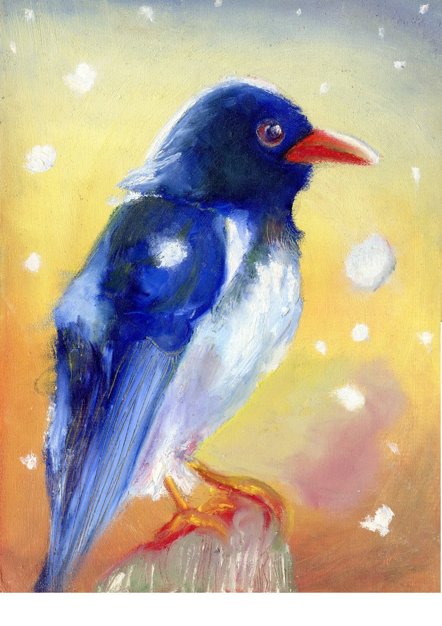 Red Billed Magpie med snedråber, 2012, af Nancy Moniz Charalambous