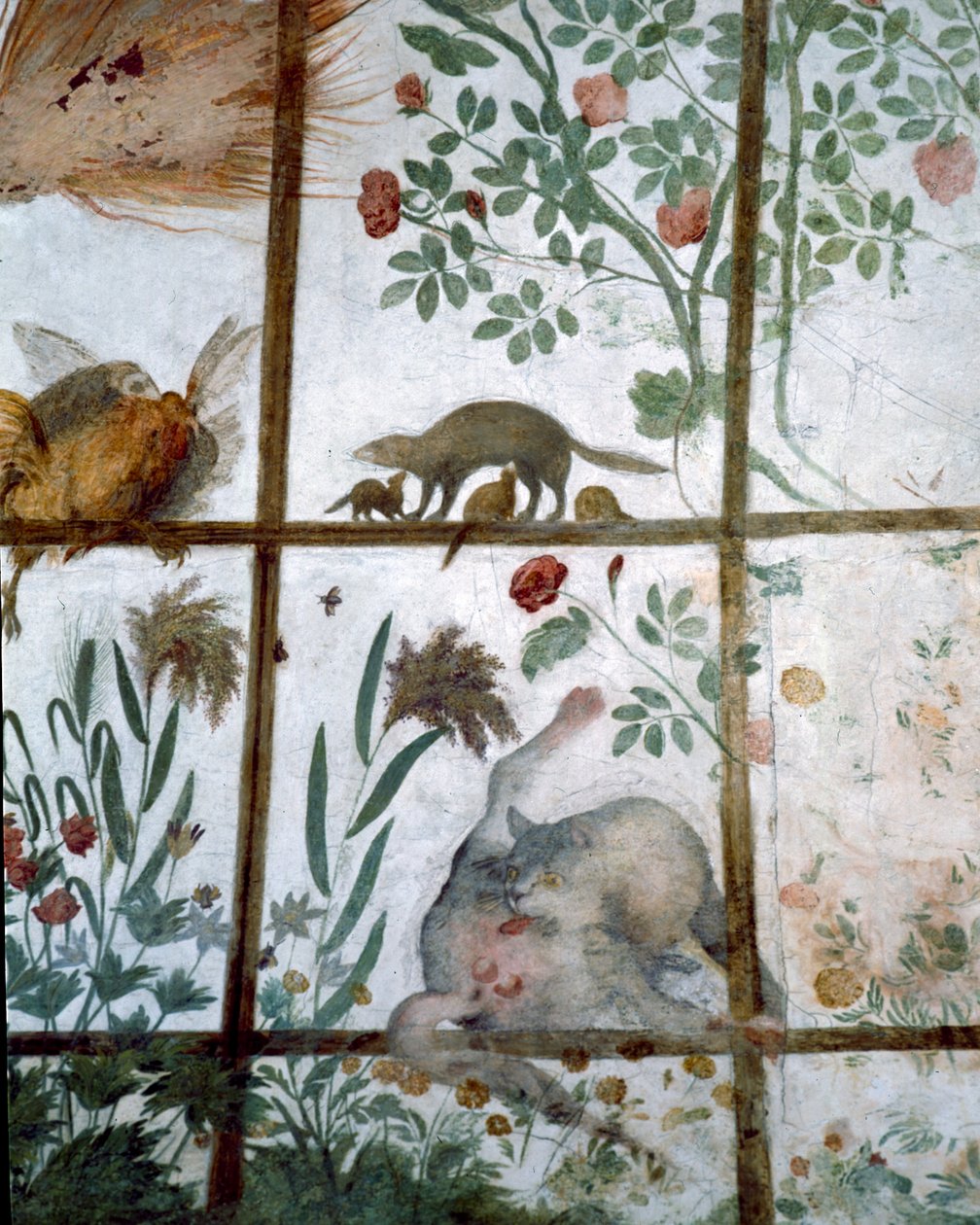 Forkammeret til Studiolo-studiet af Francesco deMedici 1541-87 detalje af dekoration, der viser dyr i en havepergola, fresko fra 1564-75 af Bartolomeo Ammannati