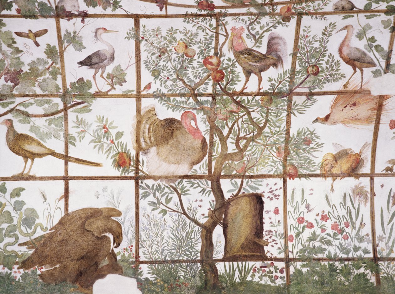 Forkammeret til Studiolo-studiet af Francesco deMedici 1541-87 detalje af udsmykning, der viser fugle i en havepergola, fresko fra 1564-75 af Bartolomeo Ammannati