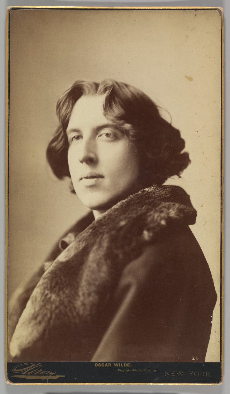 Oscar Wilde, 1882 (albumin sølvtryk) af Napoleon Sarony