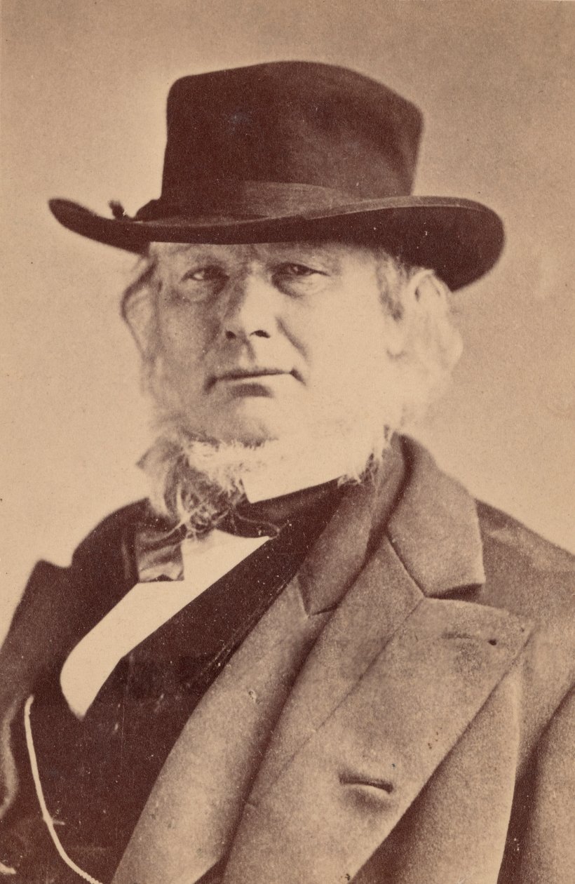 Portræt af Horace Greeley 1811-1872, 1869. af Napoleon Sarony