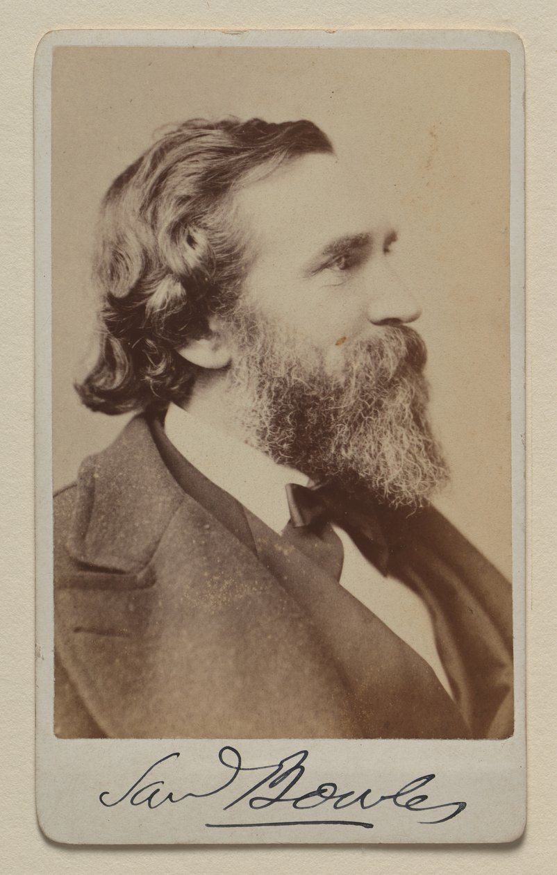 Samuel Bowles II af Napoleon Sarony