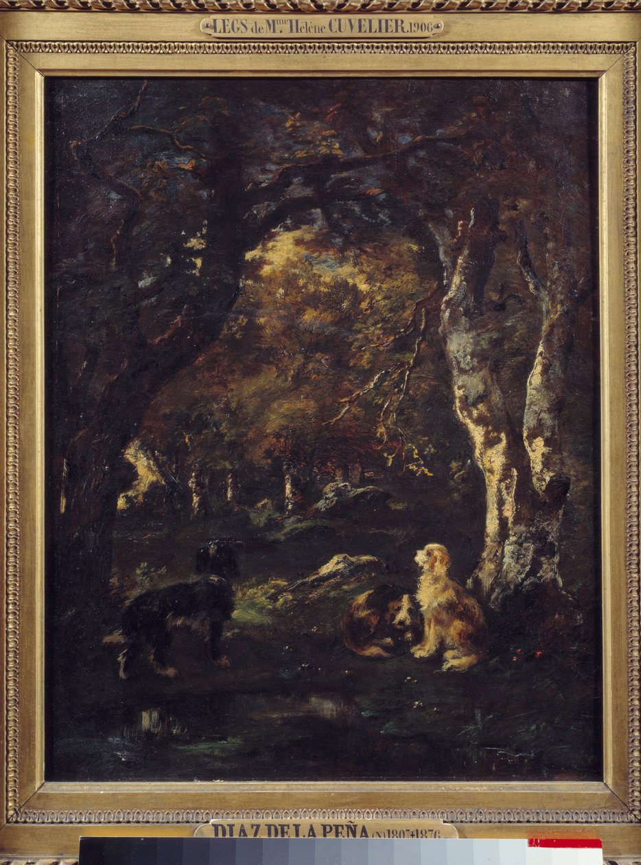 Dogs in the forest Painting by Narcissus Diaz de la Penadani af Narcisse Virgile Diaz de la Peña