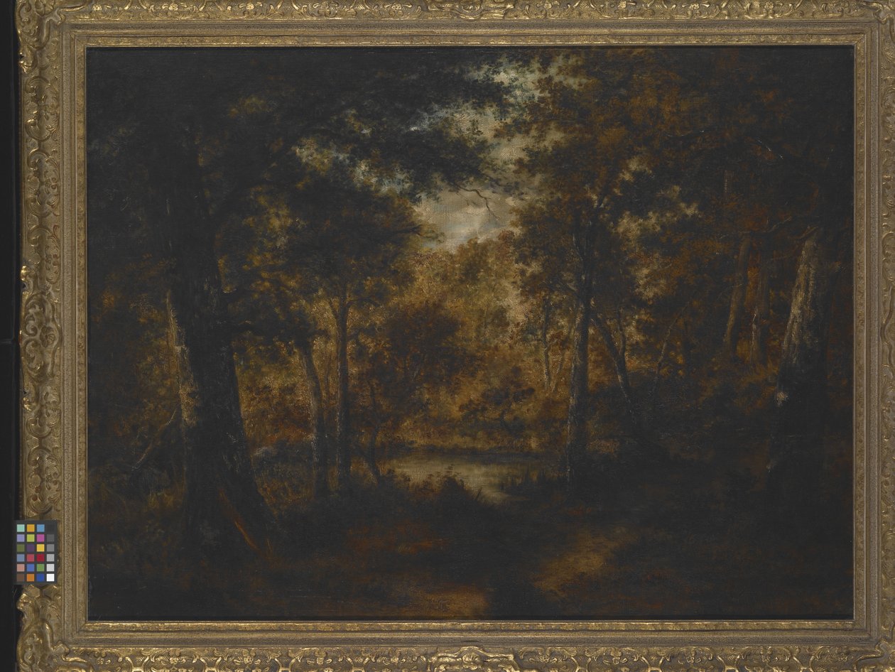 The Fairy Pool (olie på lærred) af Narcisse Virgile Diaz de la Peña