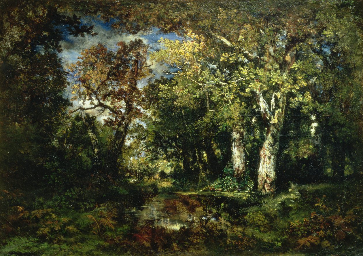 Skoven ved Fontainebleau af Narcisse Virgile Diaz de la Peña