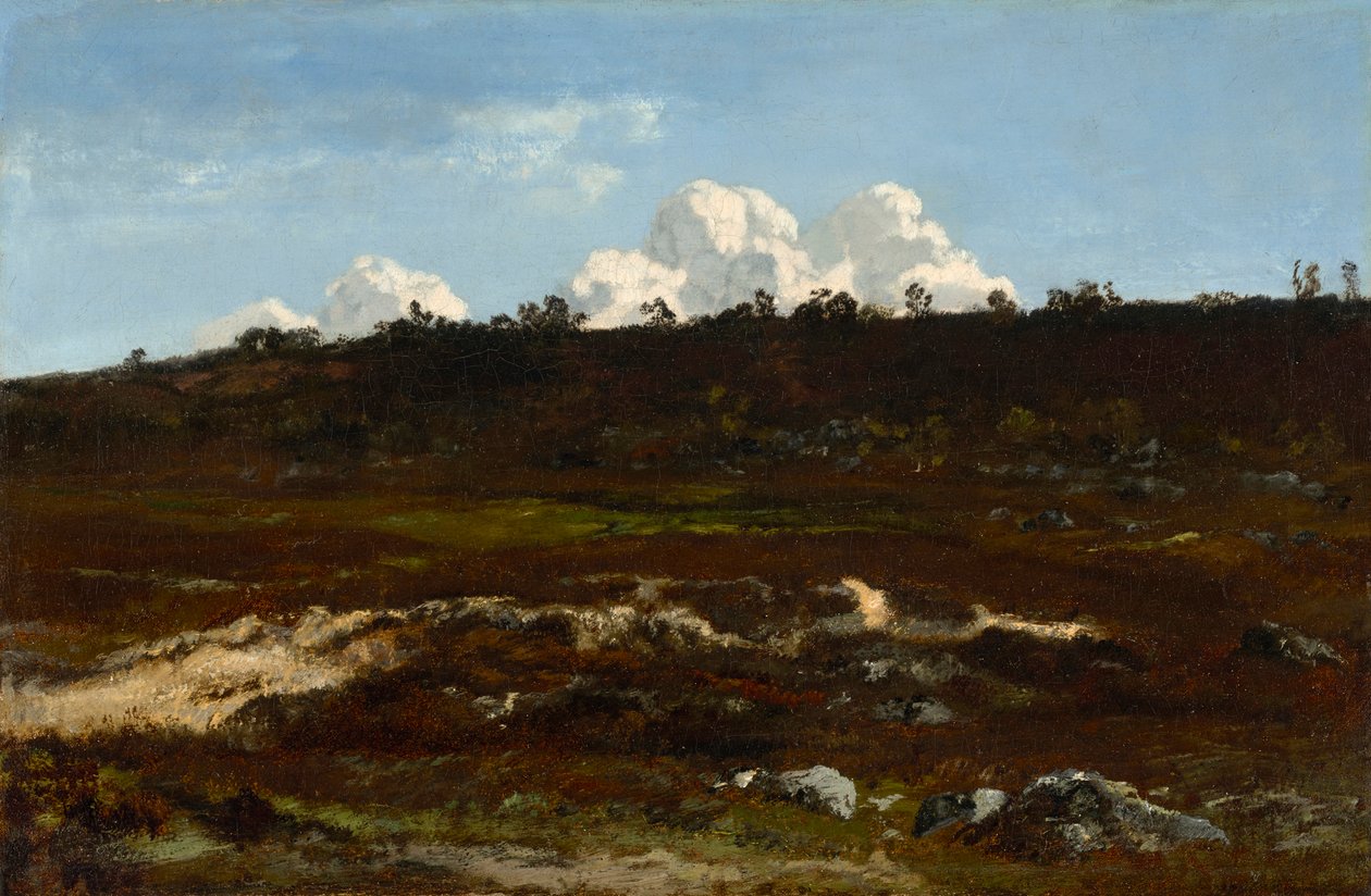 Hedensk. Skrånende terræn ved Apremont med sandfure af Narcisse Virgilio Diaz de la Peña