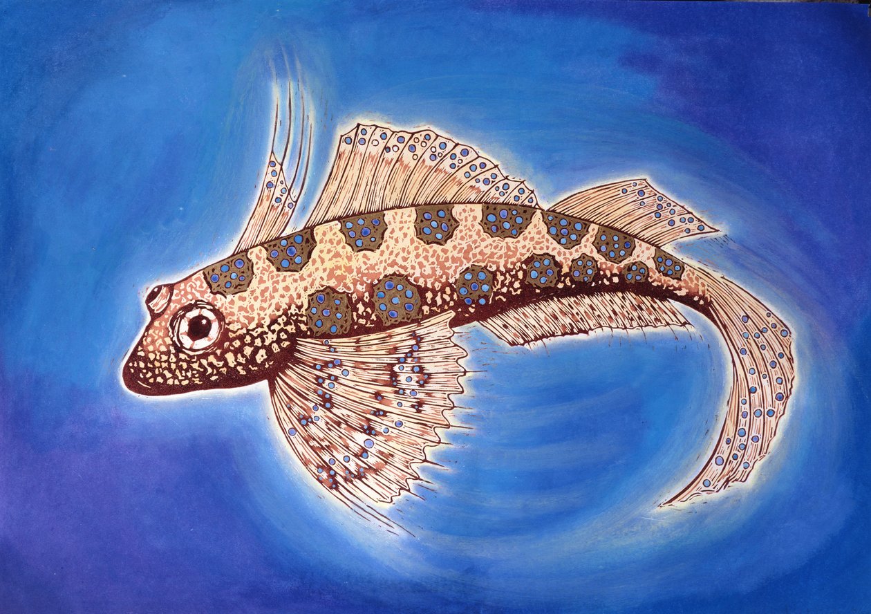 Dragonet Fish, 1999 (træsnit og blandede medier) af Nat Morley