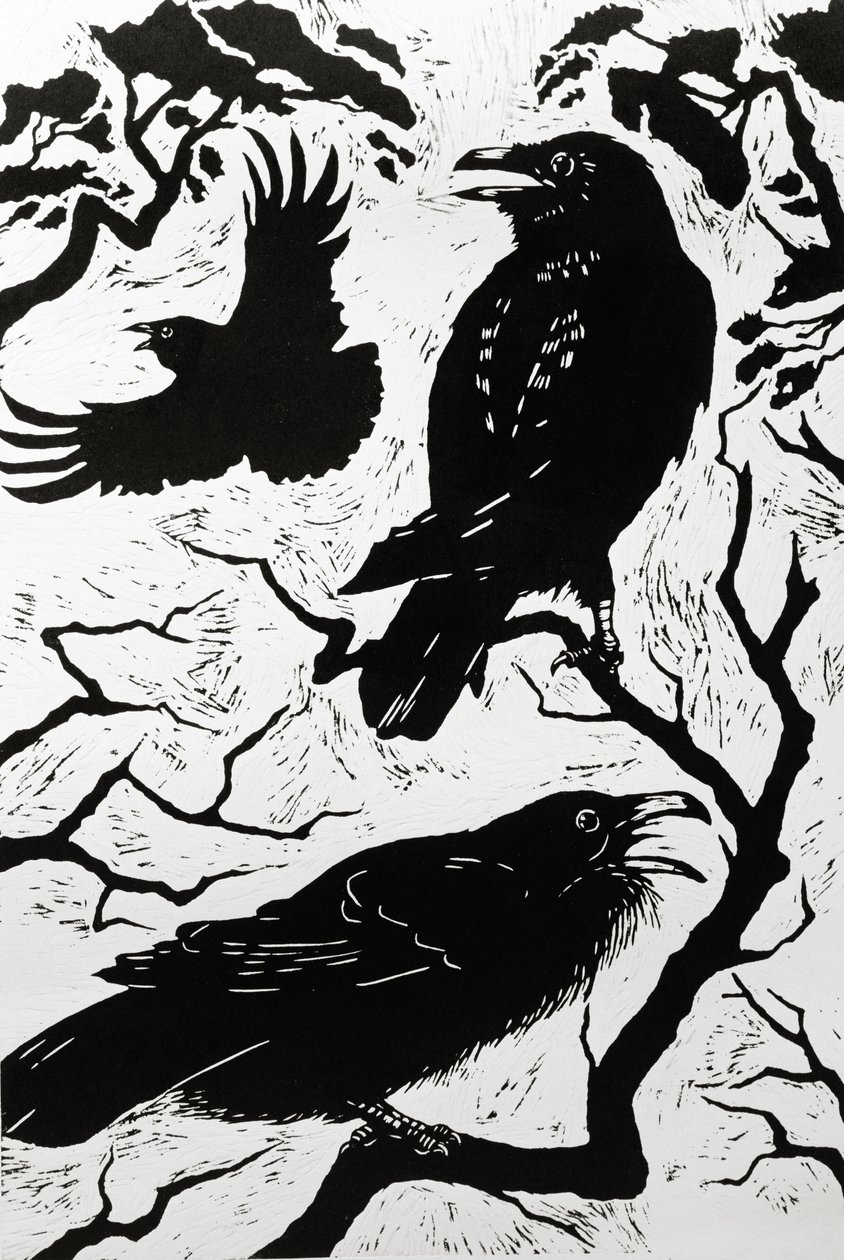 Ravne, 1998 af Nat Morley