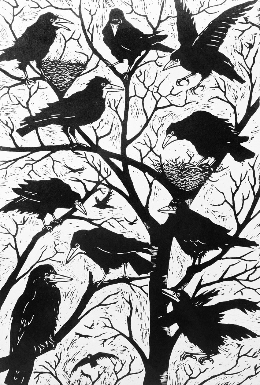 Rooks, 1998 af Nat Morley