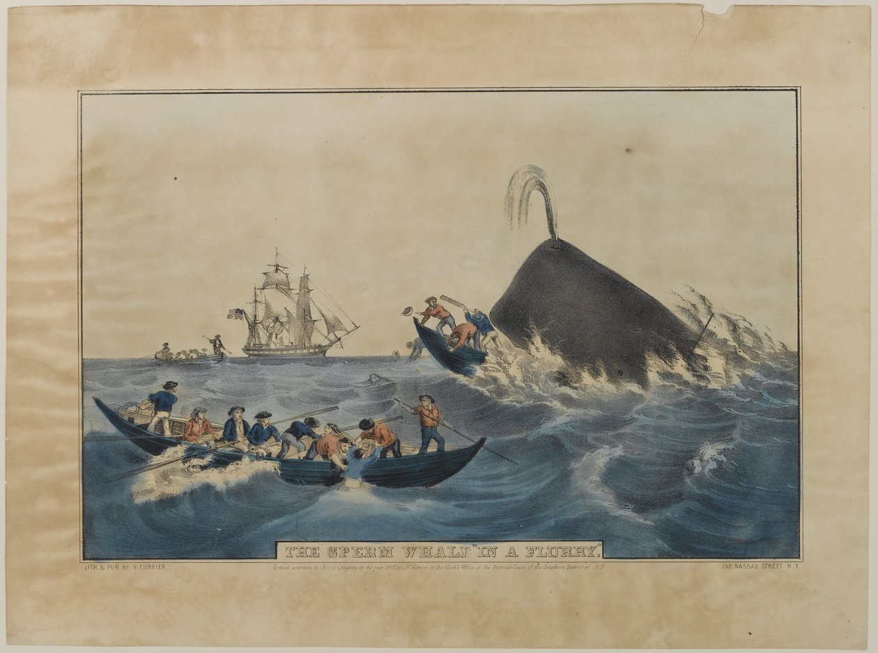 Sperm Whale in a Flurry, udgivet af N. Currier, 1852 af Nathaniel Currier
