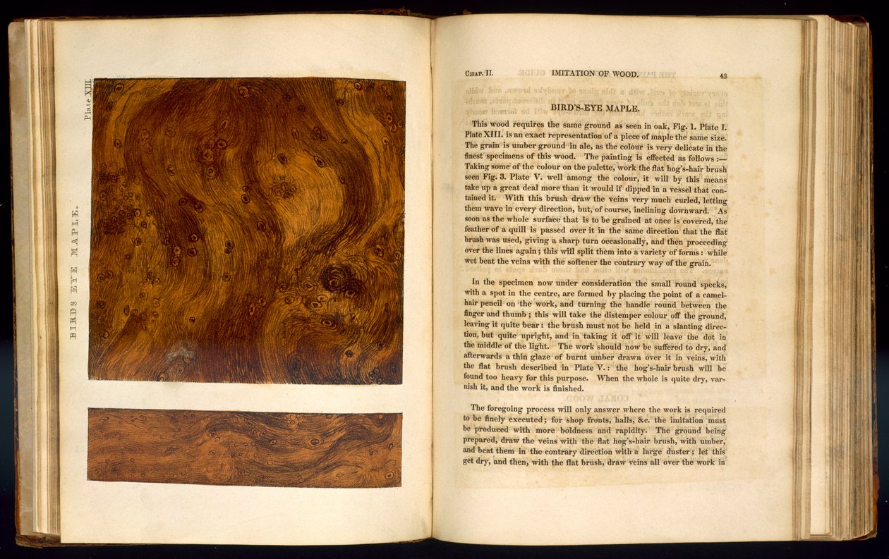 Birds Eye Maple, plade XIII fra 