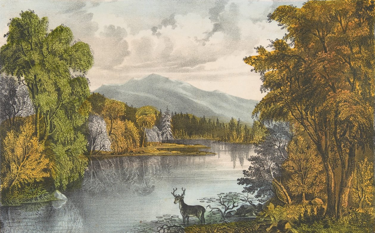 Moosehead Lake, Maine, 1857-72., 1857-72. Skabere: Nathaniel Currier, James Merritt Ives, Currier og Ives. af Currier and Ives