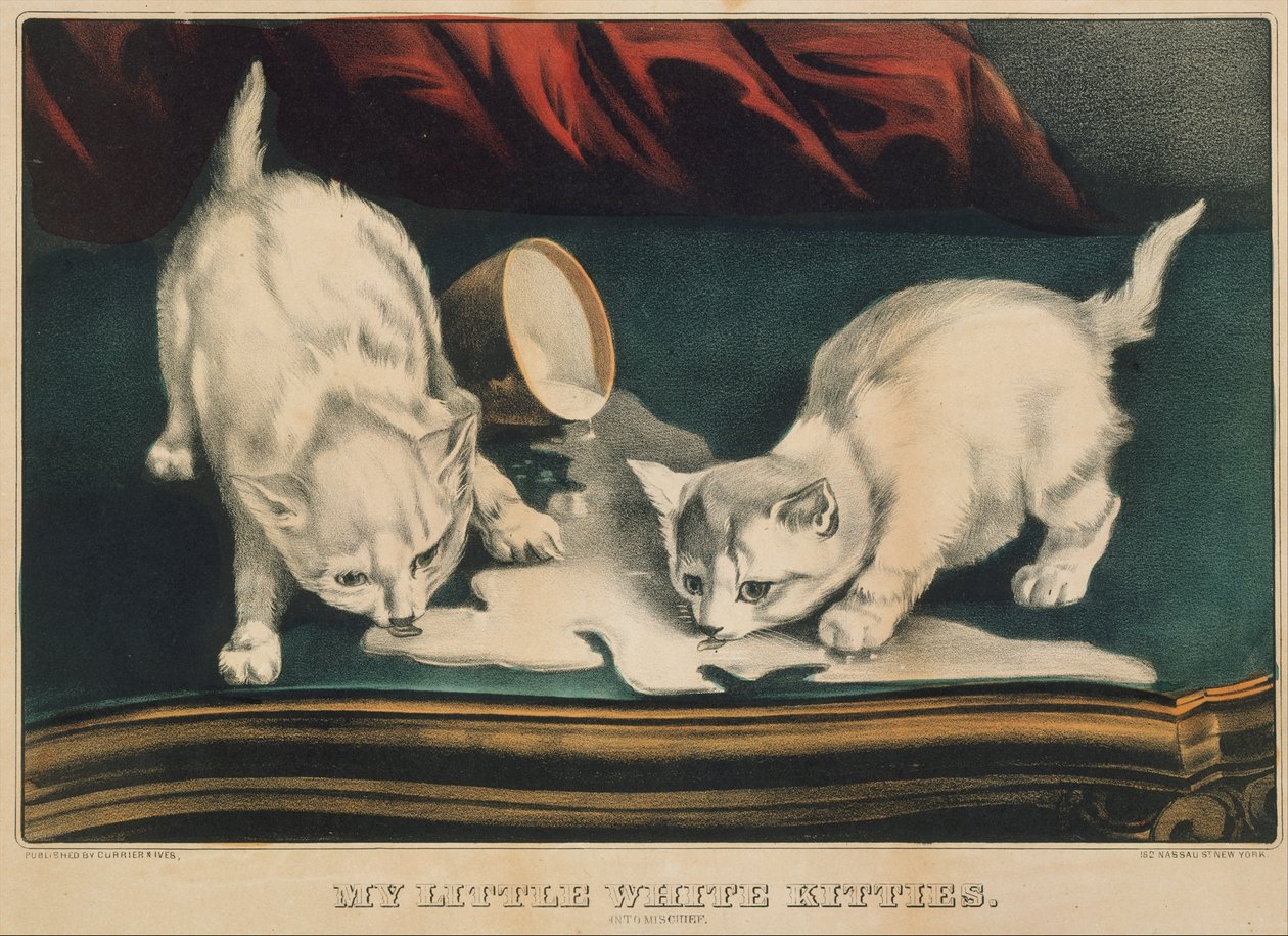 My Little White Kitties - Into Mischief, 1871., 1871. Skabere: Nathaniel Currier, James Merritt Ives, Currier og Ives. af Currier and Ives