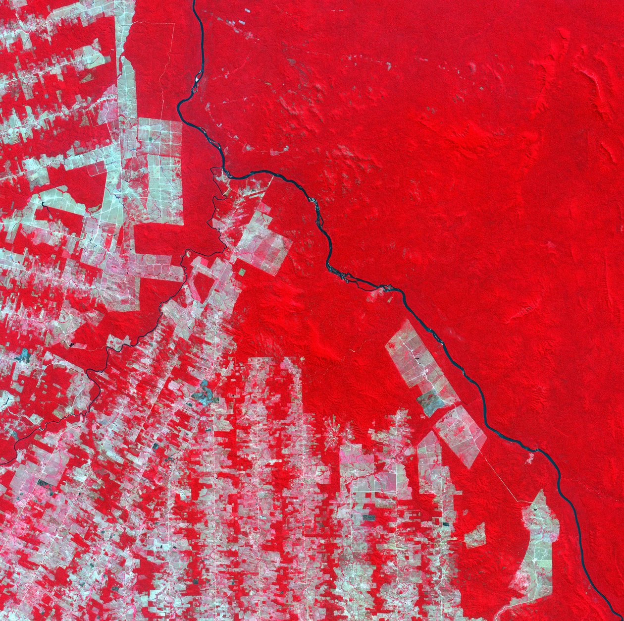 Satellitbillede i falske farver af skovrydning i Rondonia-staten, Brasilien i 2000. Pink og brune områder er ryddet land, tropisk regnskov viser sig som lysende rødt. Kredit: NASA. Sydamerika Videnskab af National Aeronautics and Space Administration National Aeronautics and Space Administration