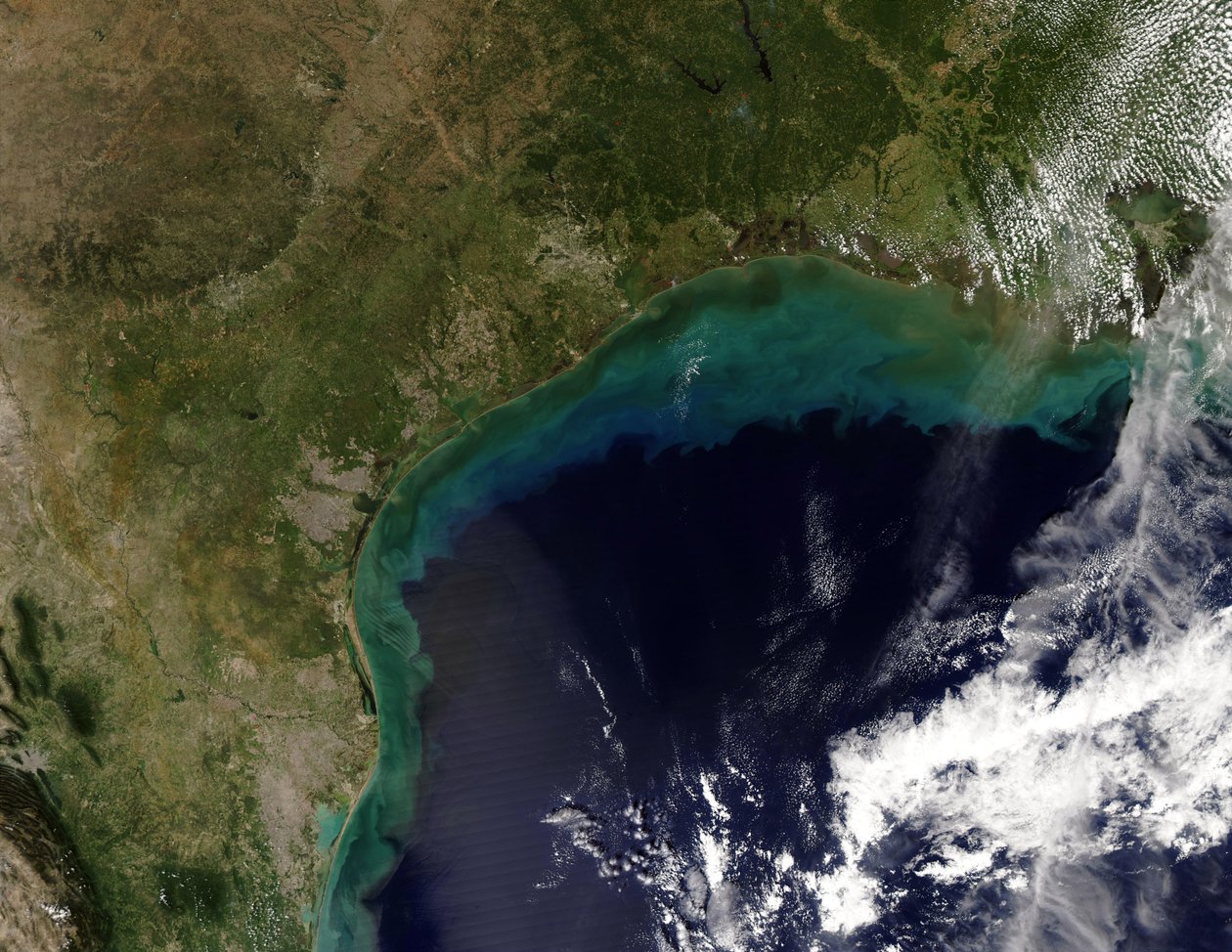 Satellitbillede af Gulf Coast, USA - Tamaulipas, Mexico, til New Orleans, Louisiana. Kredit NASA. Videnskab Jord Geologi Oceanografi af National Aeronautics and Space Administration National Aeronautics and Space Administration