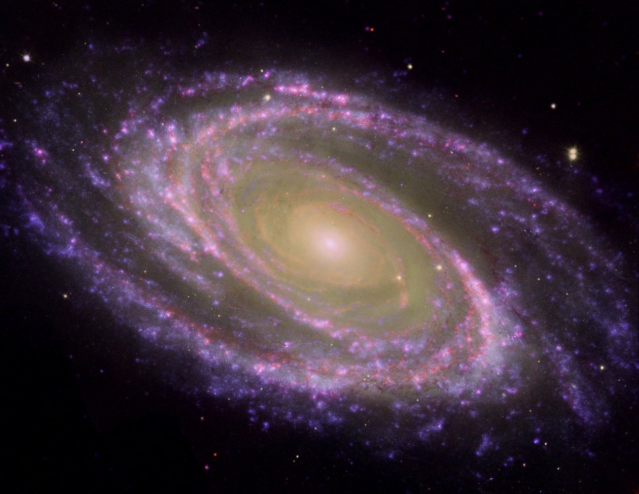 Spiral Galaxy M81, vippet i en skrå vinkel mod terrestrisk sigtelinje, set i multibølgelængdelys. Kredit NASA. Videnskab Astronomi Stellar Space af National Aeronautics and Space Administration National Aeronautics and Space Administration