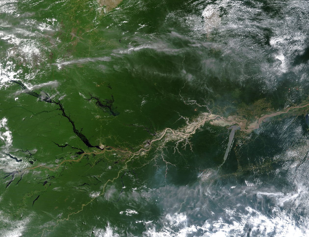 Sandfarvede satellitbillede af Amazonfloden, hvor en femtedel af flodvandet strømmer ind i jordens oceaner. Kredit: NASA. Sydamerika videnskabsgeografi af National Aeronautics and Space Administration National Aeronautics and Space Administration