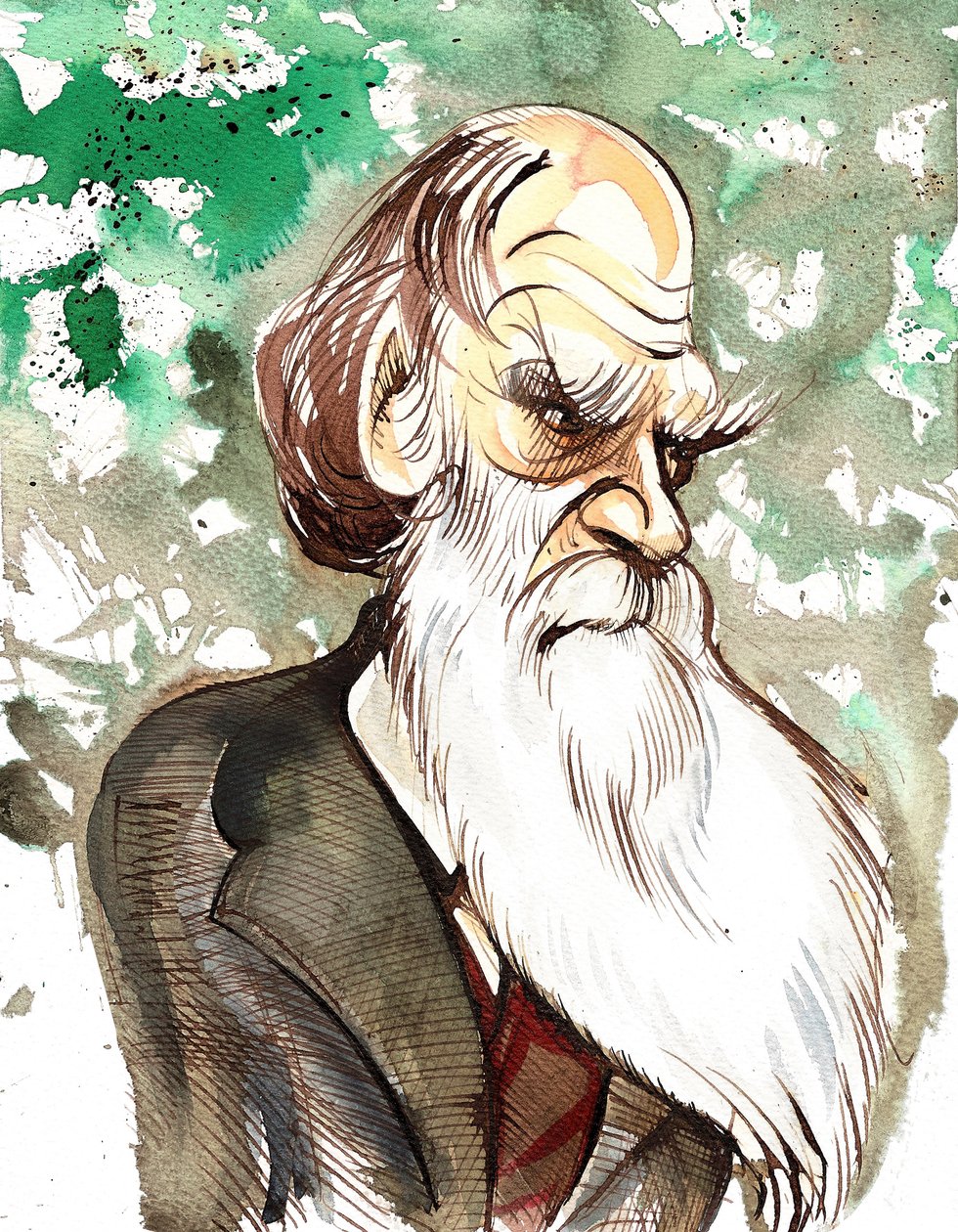 Charles Darwin (engelsk naturforsker og forfatter, 1809-82) farvekarikatur af Neale Osborne