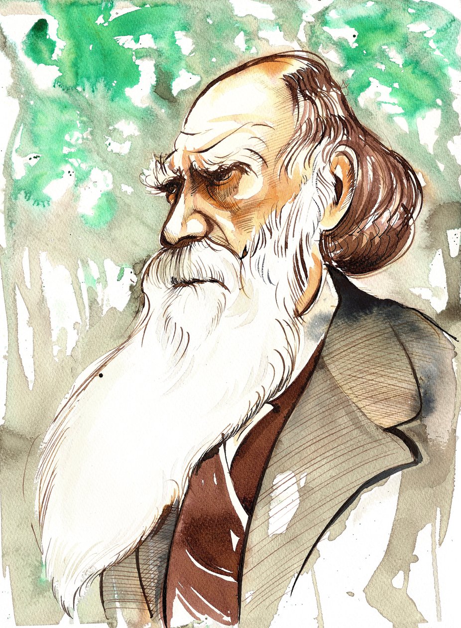 Charles Darwin (engelsk naturforsker og forfatter, 1809-82) portræt af Neale Osborne