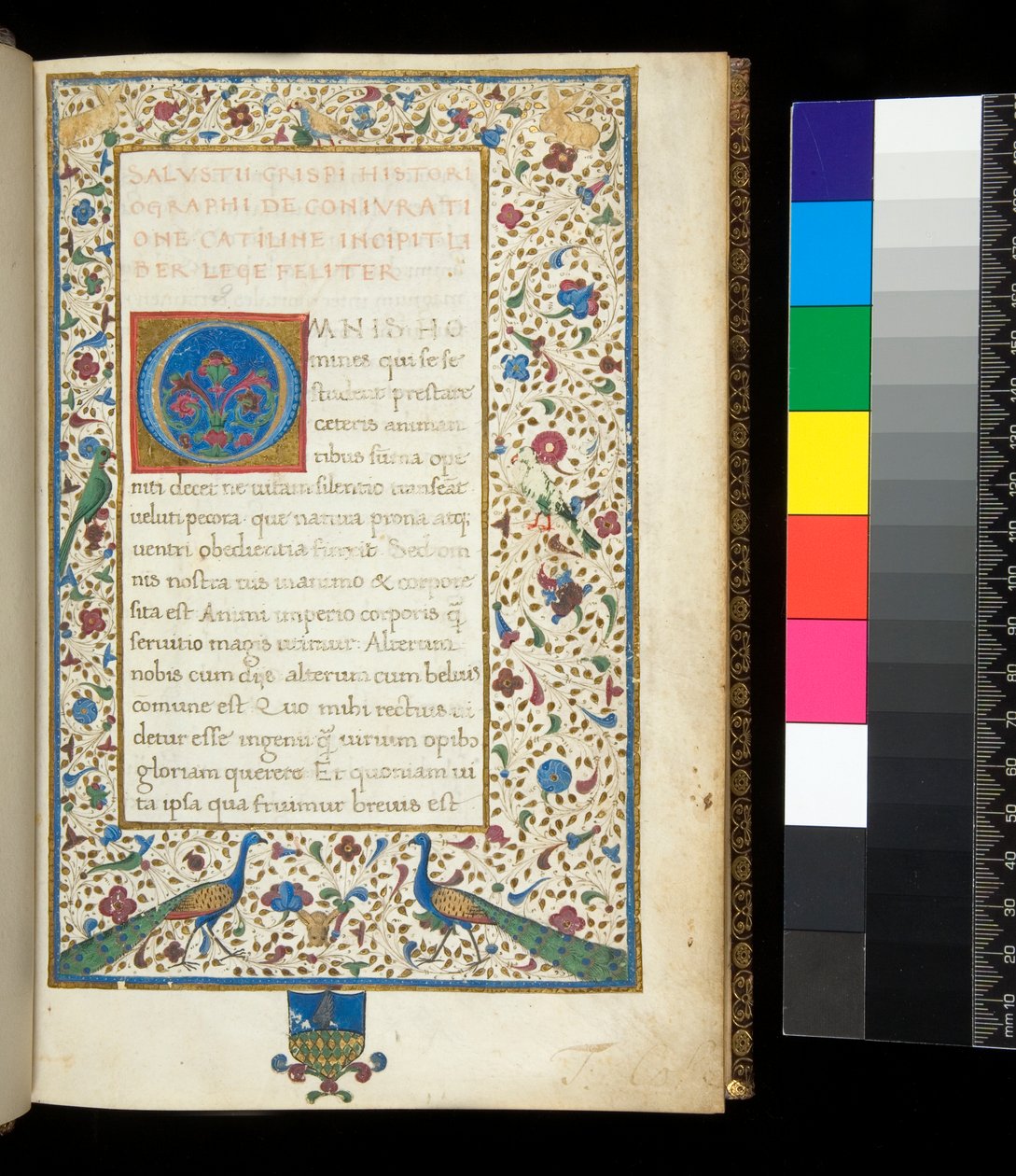 Fru 336. Sallust, Catilina og Jugurtha, f.1r. Fuldt oplyst kant med påfugle, kaniner, grønne parakitter og en due af Neapolitan School
