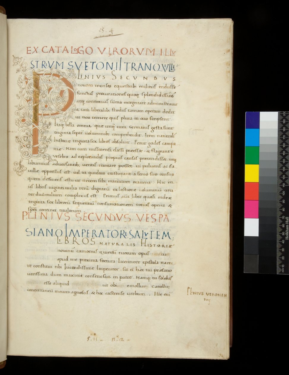 Ms 394.1. Plinius den ældre, Historia naturalis, f.1r. Oplyst initial [P] med dekoration af hvid vinstokke (ufærdig), Napoli, midten af 1400-tallet, ca. 1442 (pergament) af Neapolitan School