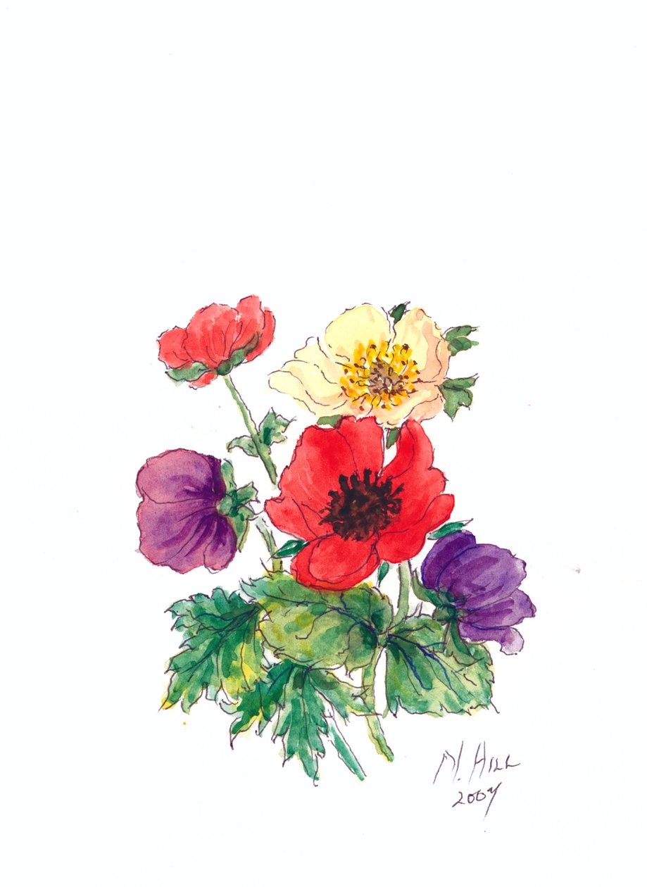 Anemoner, 2007 (wc på papir) af Nell Hill