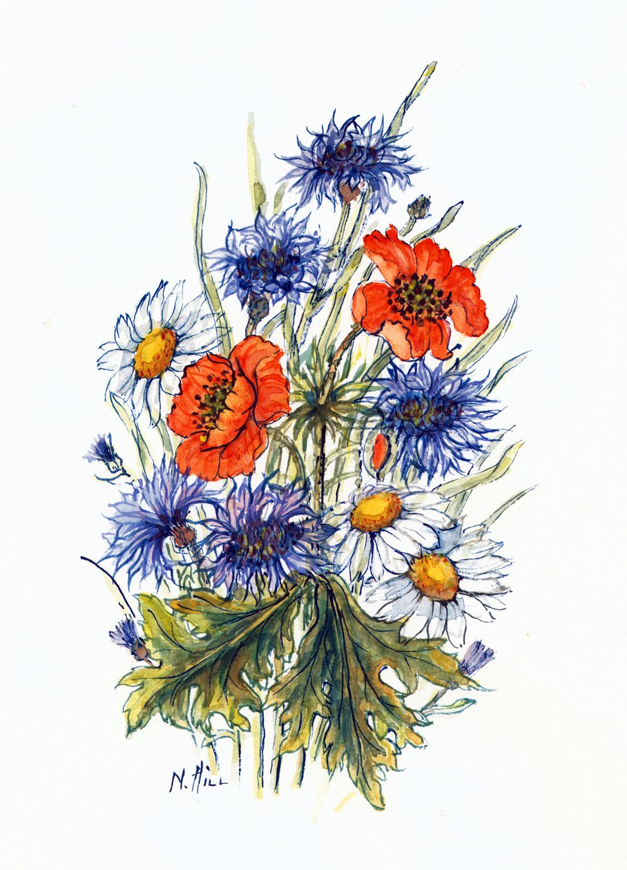 Kornblomst, Valmue og Okseøje Daisy (wc på papir) af Nell Hill