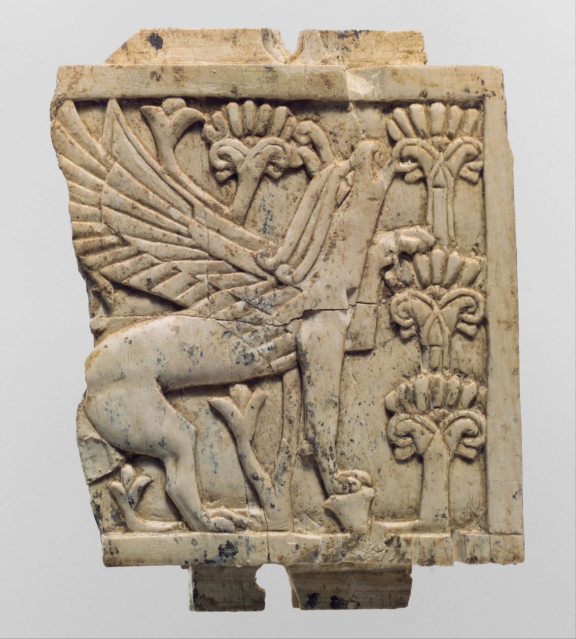Møbelplade udskåret i relief med en griffin i et blomsterlandskab, ca. 9.–8. århundrede f.Kr. (elfenben) af Neo Assyrian