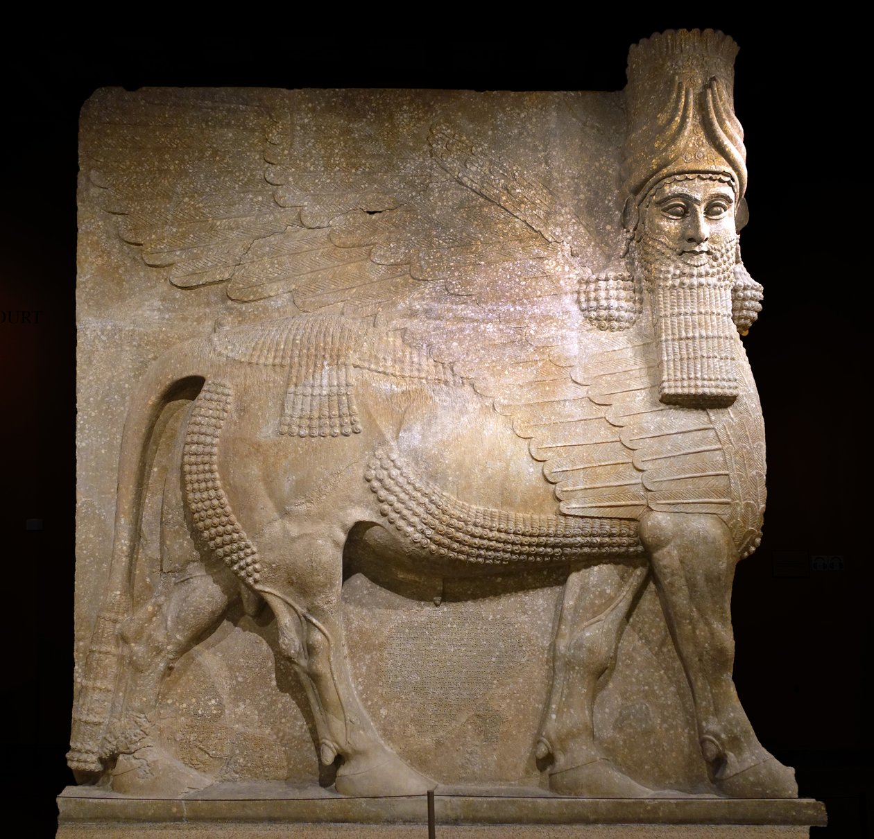 Bevinget tyr fra hof VIII ved kong Sargon II