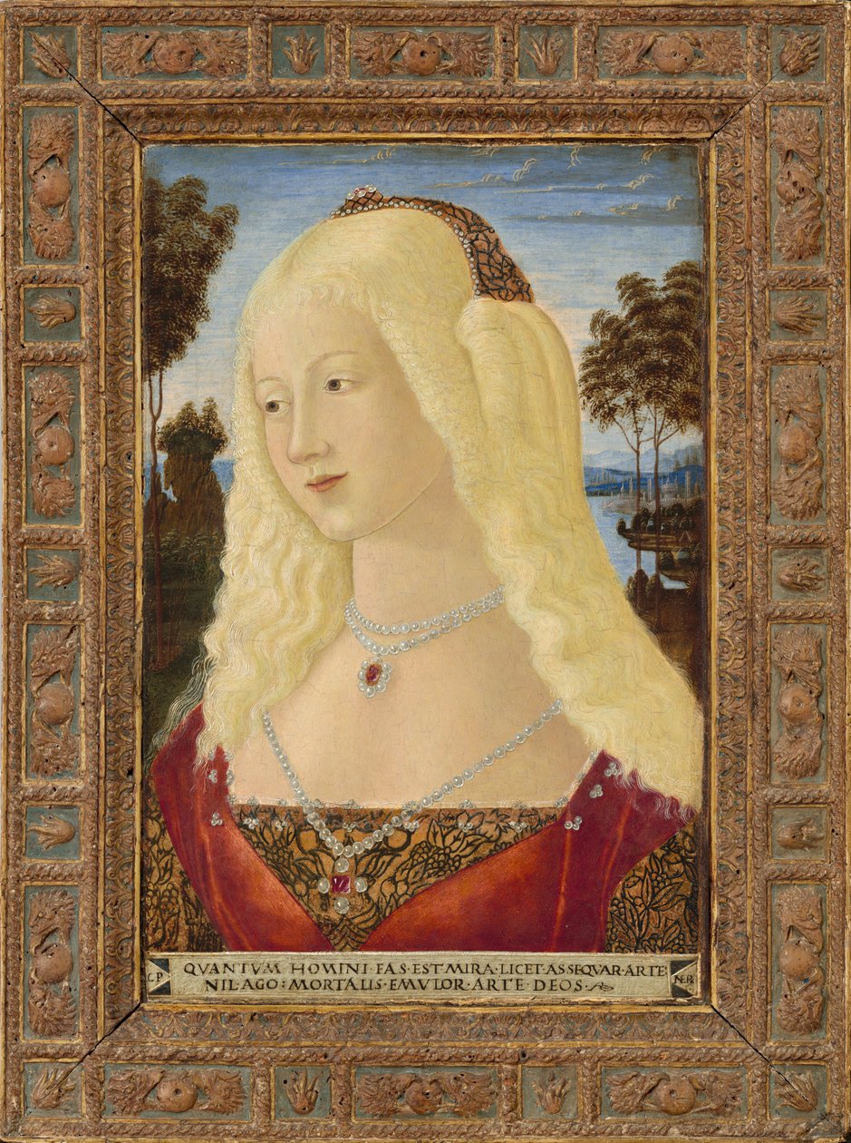 Portræt af en Dame af Neroccio de