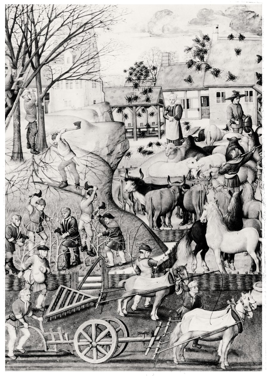 Pløjning af Netherlandish School