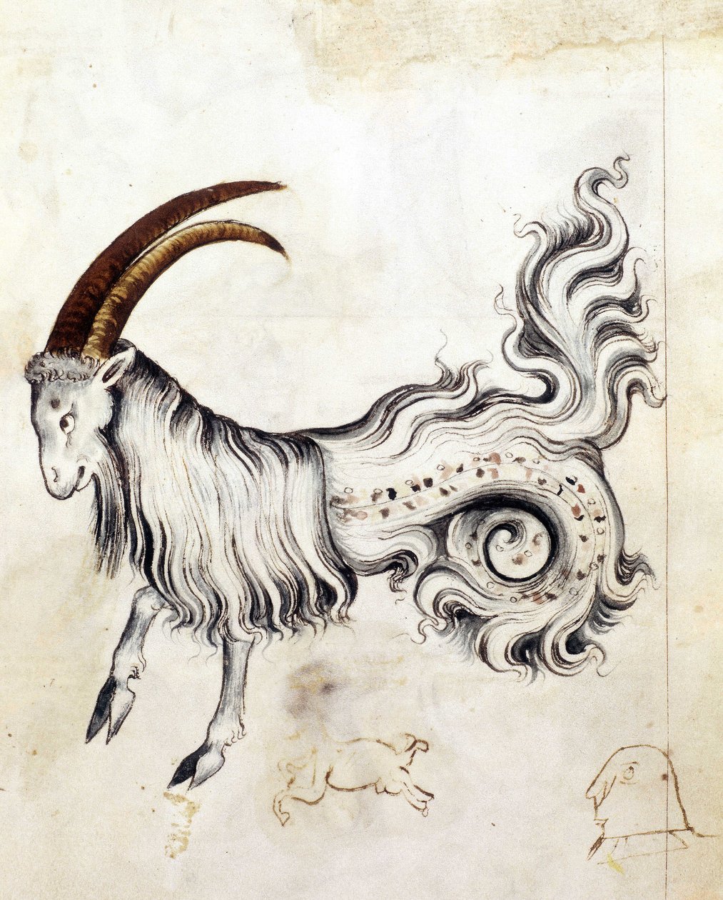 Sloane 3983, f.3v Stjernetegnet Stenbukken (vellum) af Netherlandish School