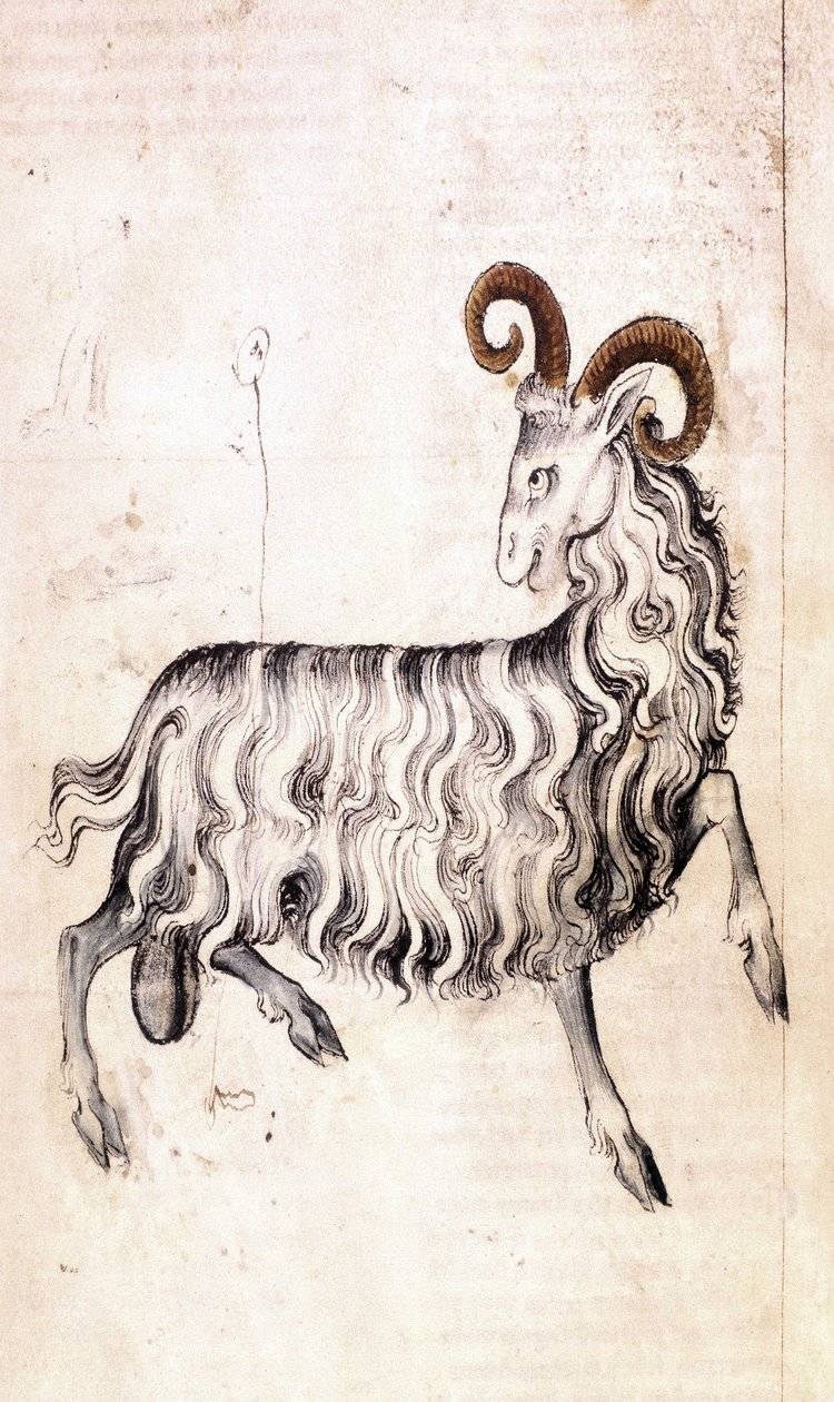 Sloane 3983 f3v Stjernetegnet Stenbukken (vellum) af Netherlandish School
