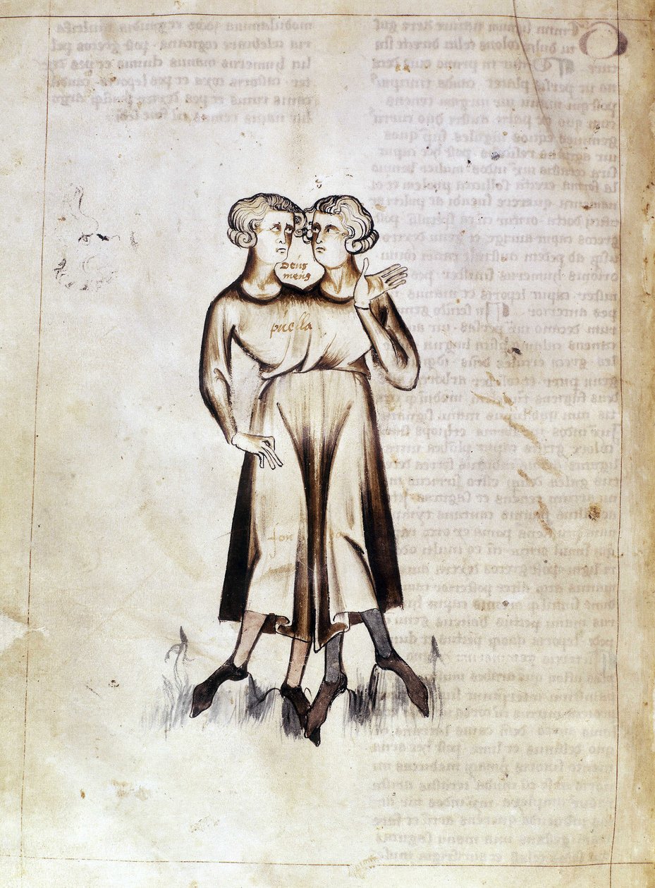 Sloane 3983 f.8v Tegning af Gemini, fra en oversættelse af en persisk astrologisk afhandling af Jafar ibn Muhammad (vellum) af Netherlandish School