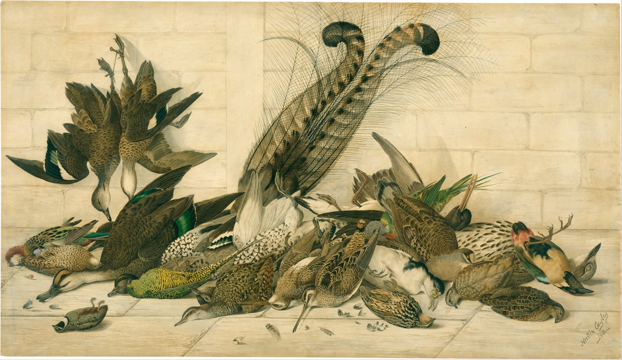 Australske gamebirds af Neville HP Cayley