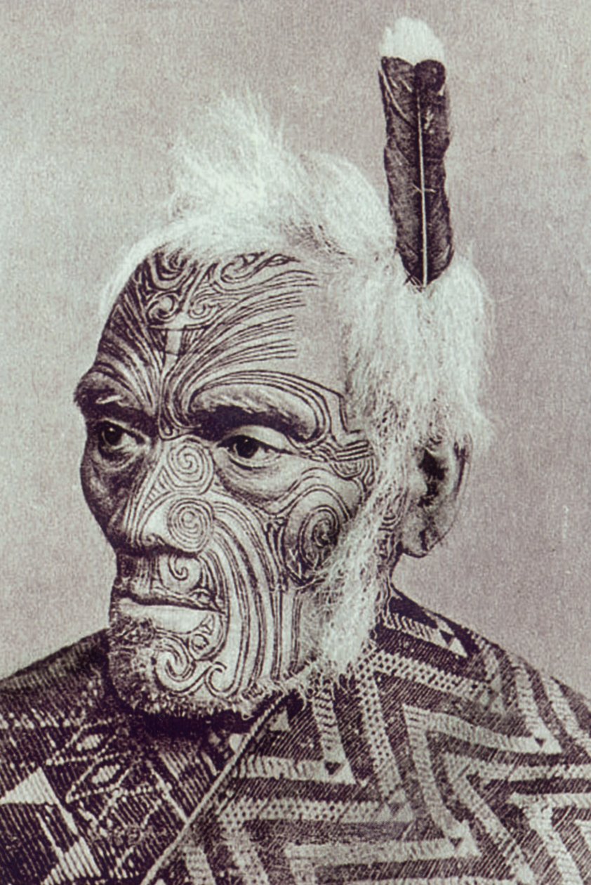 Maori kriger med moko ansigt af New Zealander Photographer