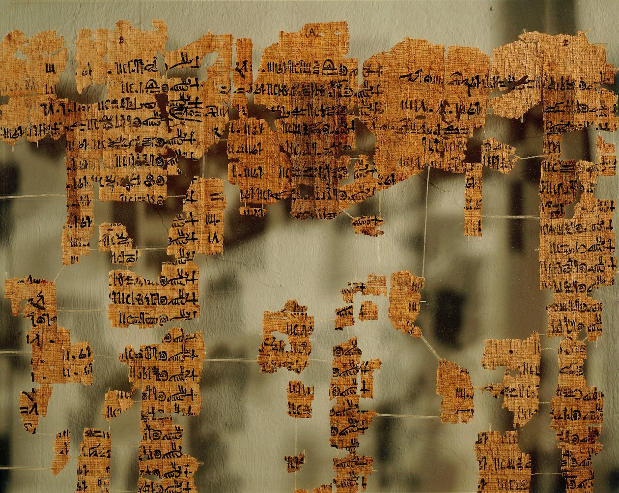 Fragmenter af kongens papyrus eller den kongelige kanon (papyrus) af New Kingdom Egyptian