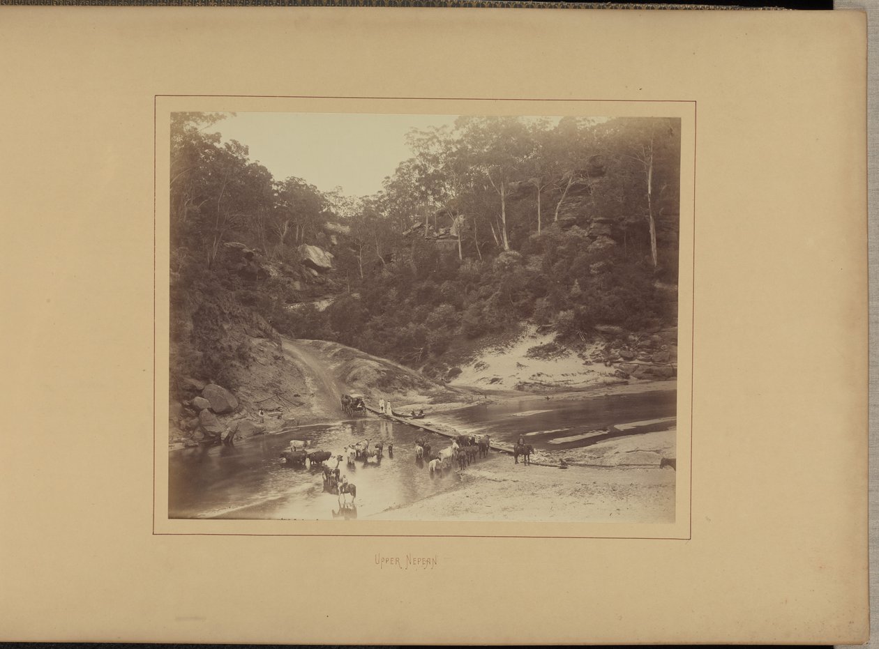 Øvre Nepean af New South Wales Government Printing Office
