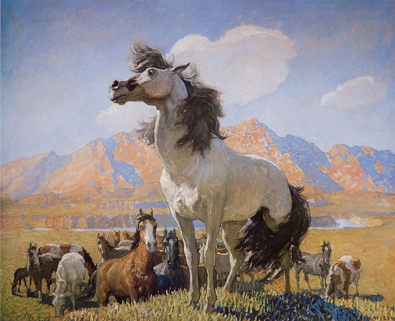 Smokey Facen af Newell Convers Wyeth