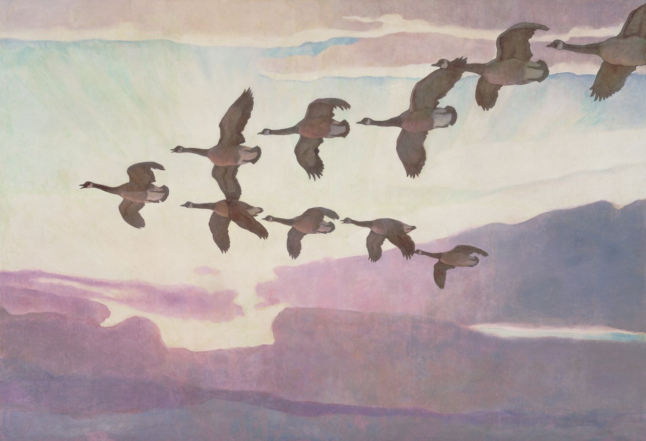 Canadagæs i foråret, 1941 af Newell Convers Wyeth