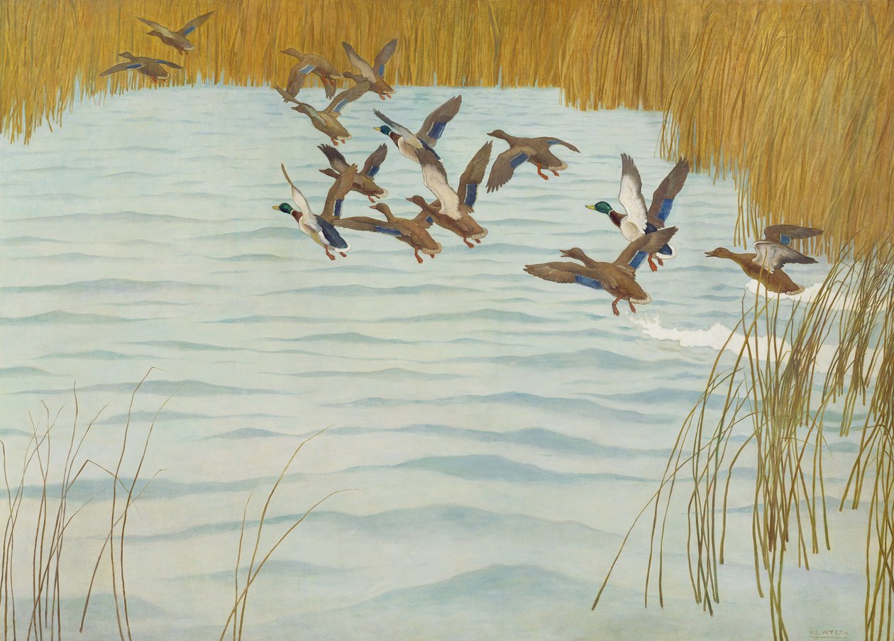 Græsænder i efteråret, 1941 af Newell Convers Wyeth