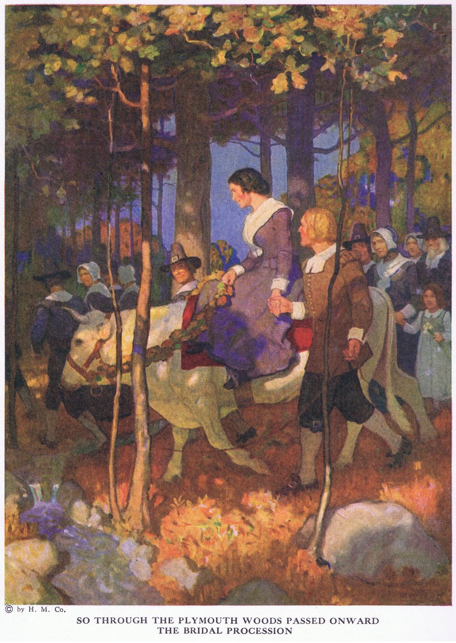 Så gennem Plymouth-skoven gik brudeoptoget videre af Newell Convers Wyeth