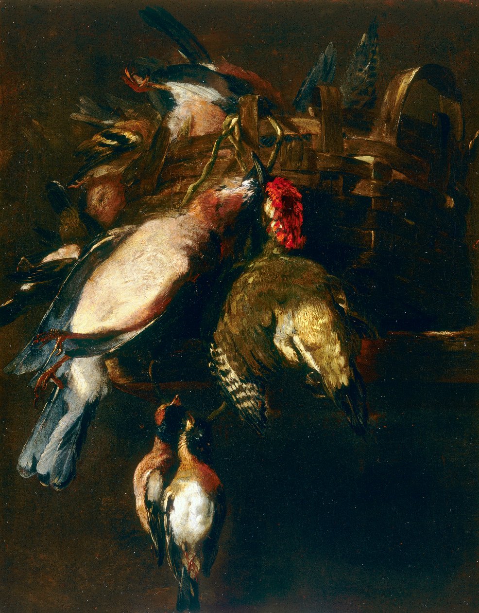 Stilleben med cestode, en rulle og to finker af Nicasius 1620 78 Bernaerts