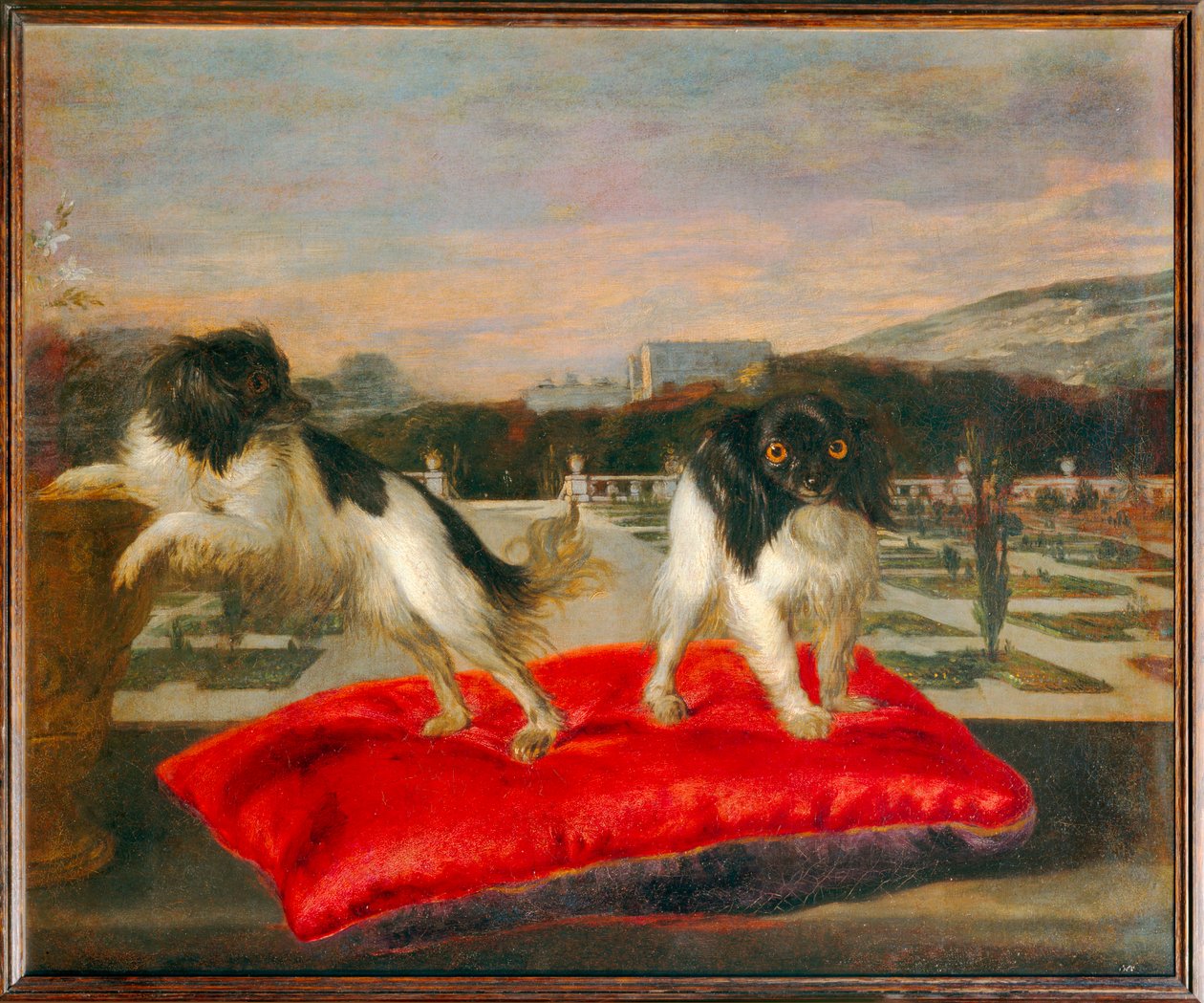 To små hunde på terrassen i en italiensk have - To små hunde på terrassen i en italiensk have ... af Nicasius (1620 78) Bernaerts