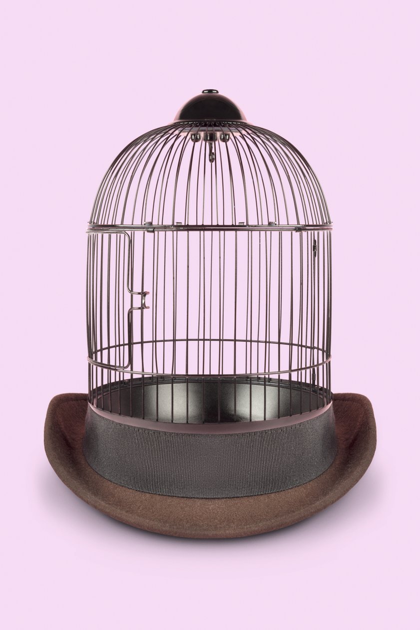 Mental Cage, 2020 (foto) af Niccolò Fioriti